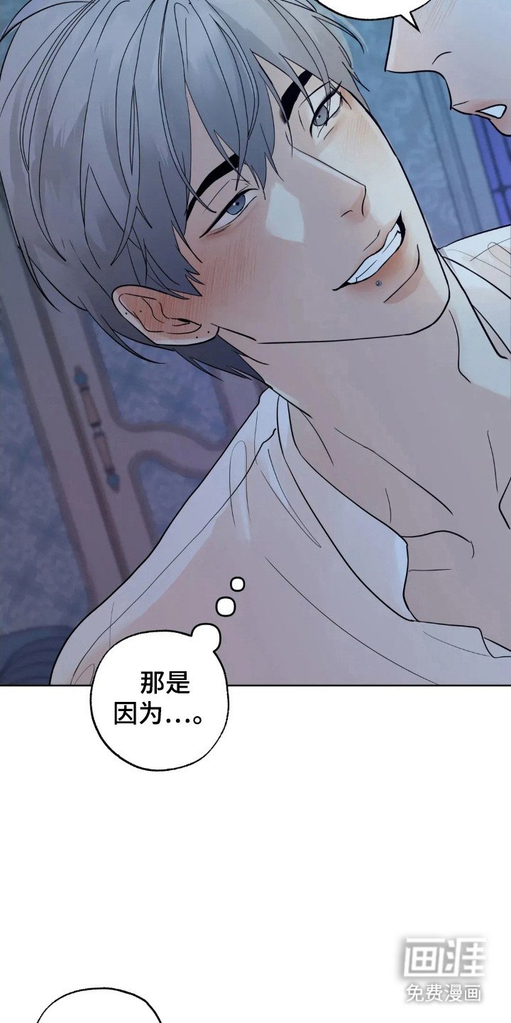 第142章：【第四季】规划未来