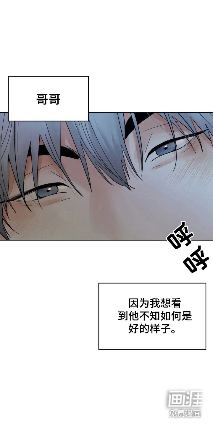 第142章：【第四季】规划未来