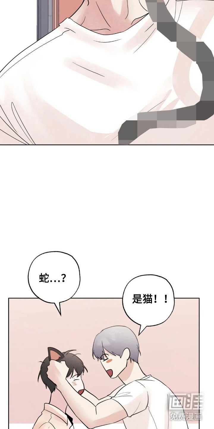 第144章：【第四季】做到幸福