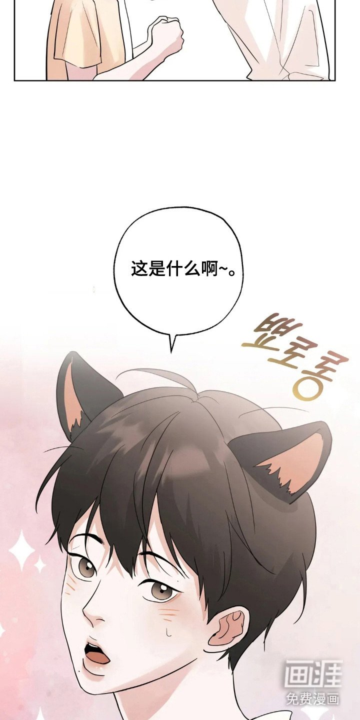 第144章：【第四季】做到幸福