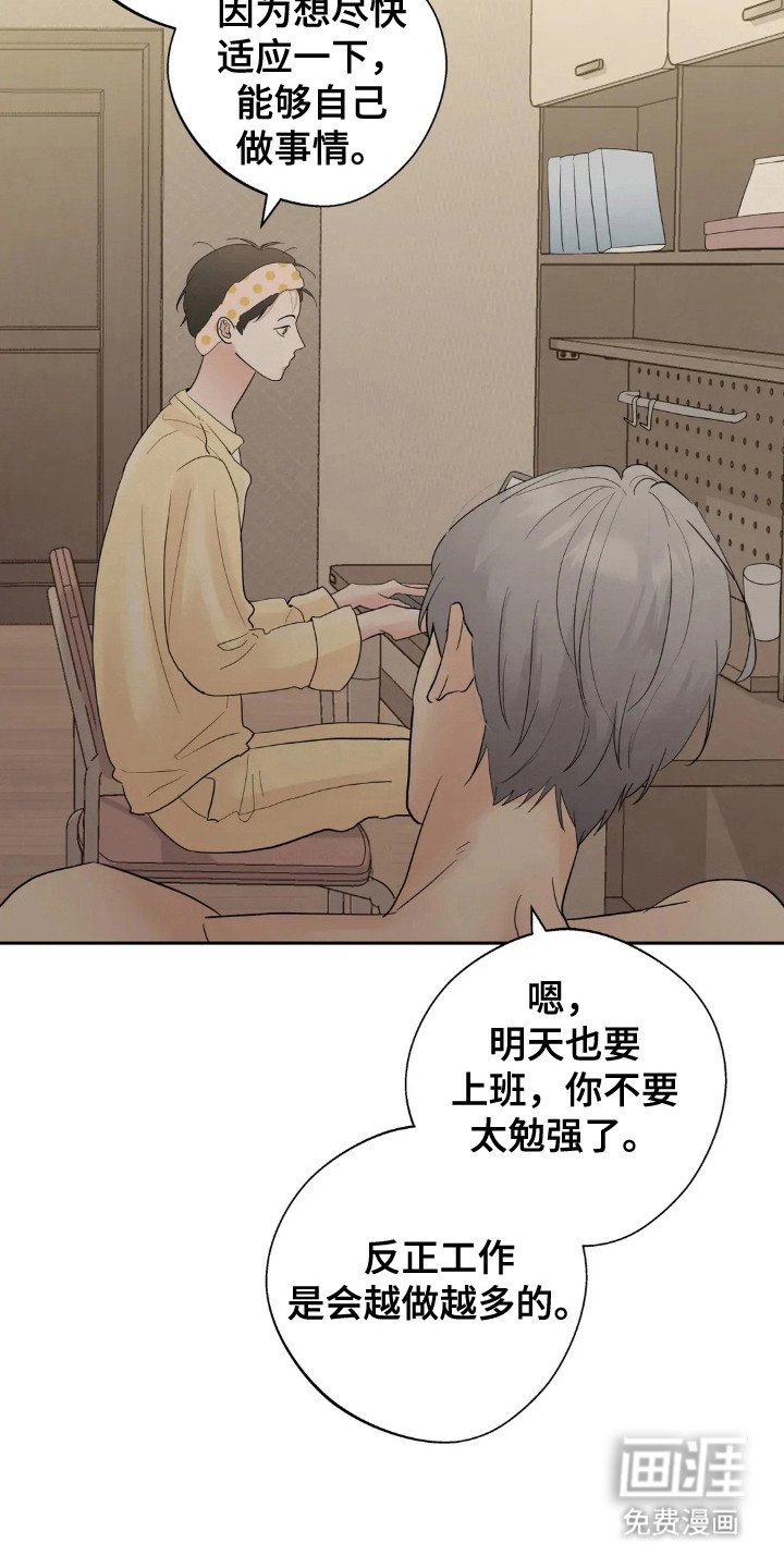 第147章：【第四季】稳定生活