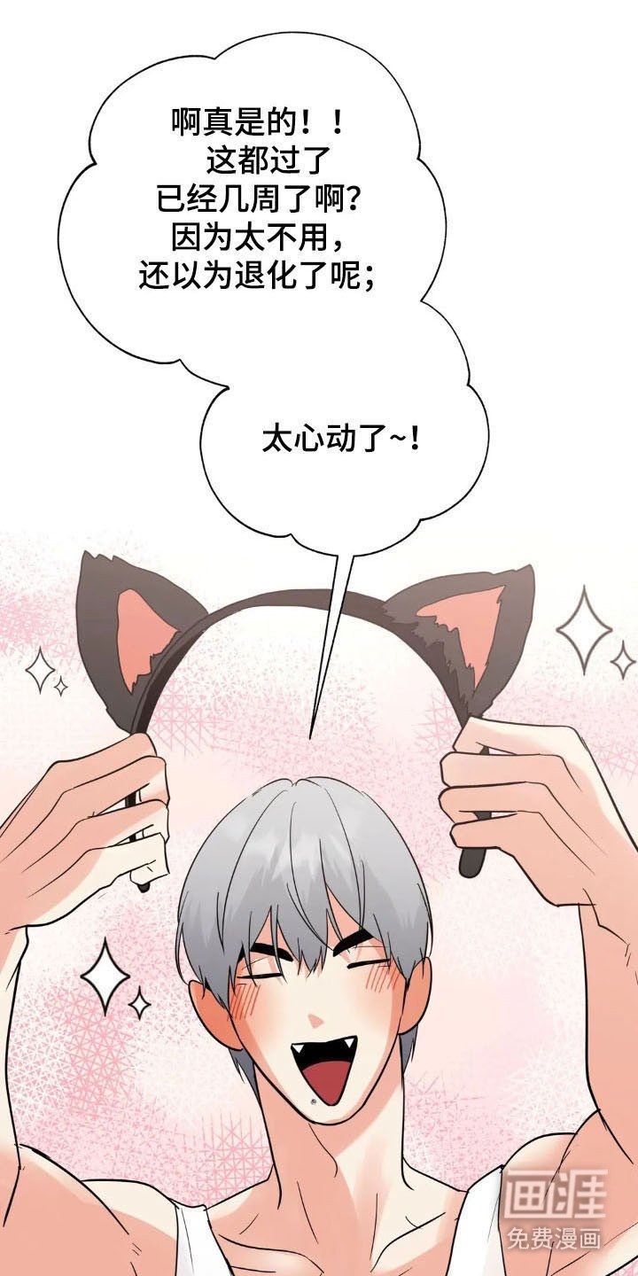 第149章：【第四季】可爱类型