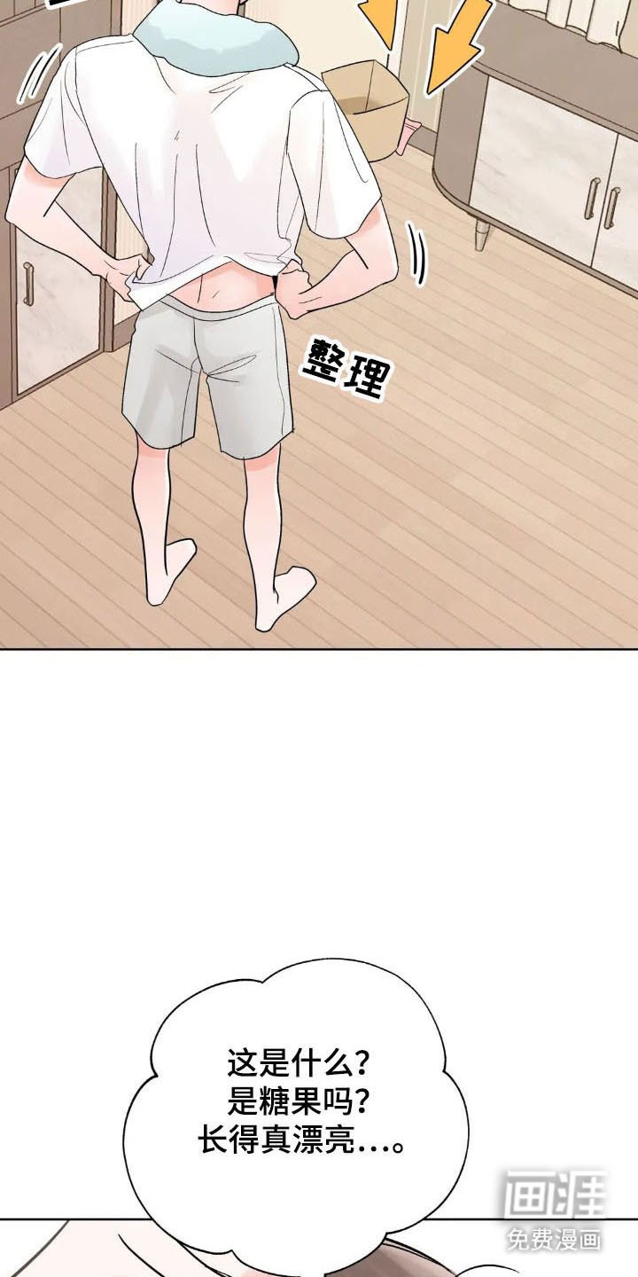 第149章：【第四季】可爱类型