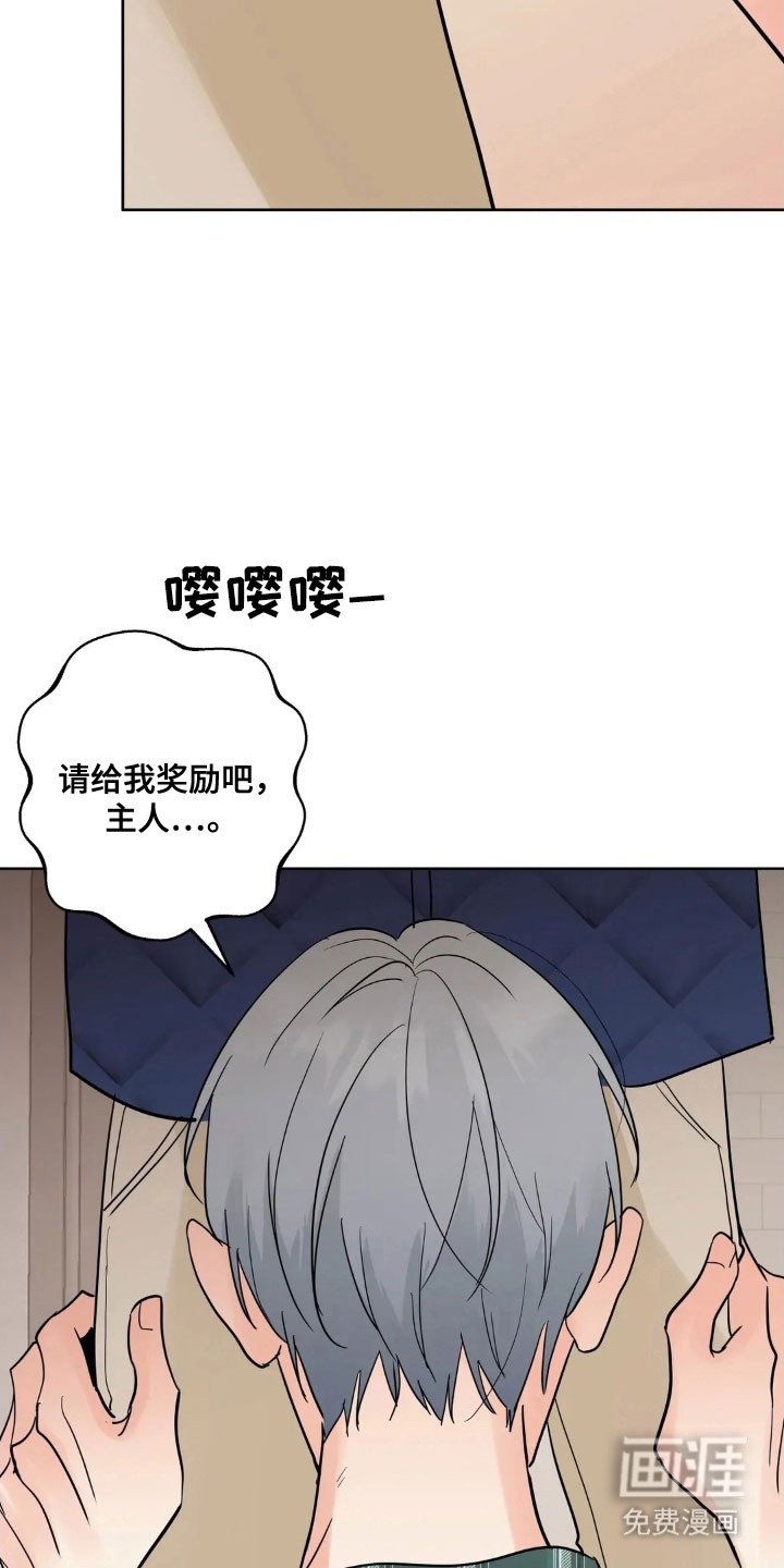 第153章：【第四季】最后问候