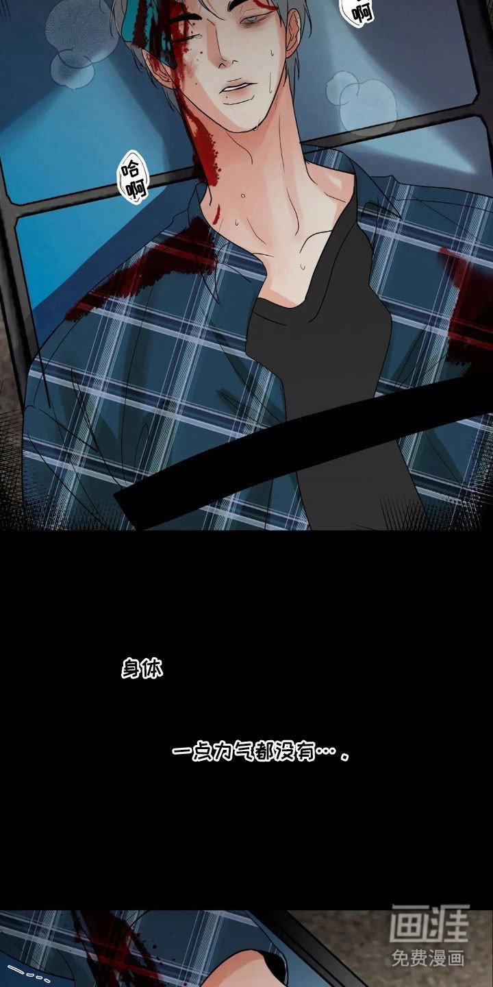 第153章：【第四季】最后问候