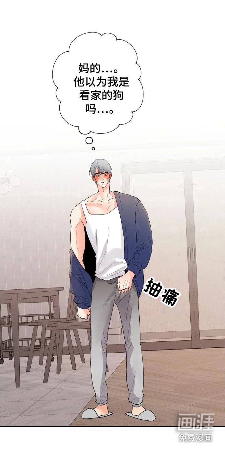 第161章：【第四季】好好看家