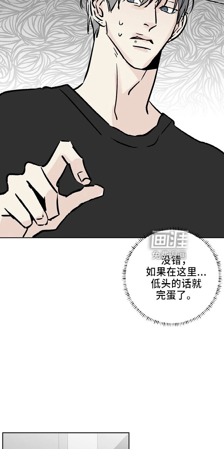 第36章：搞什么