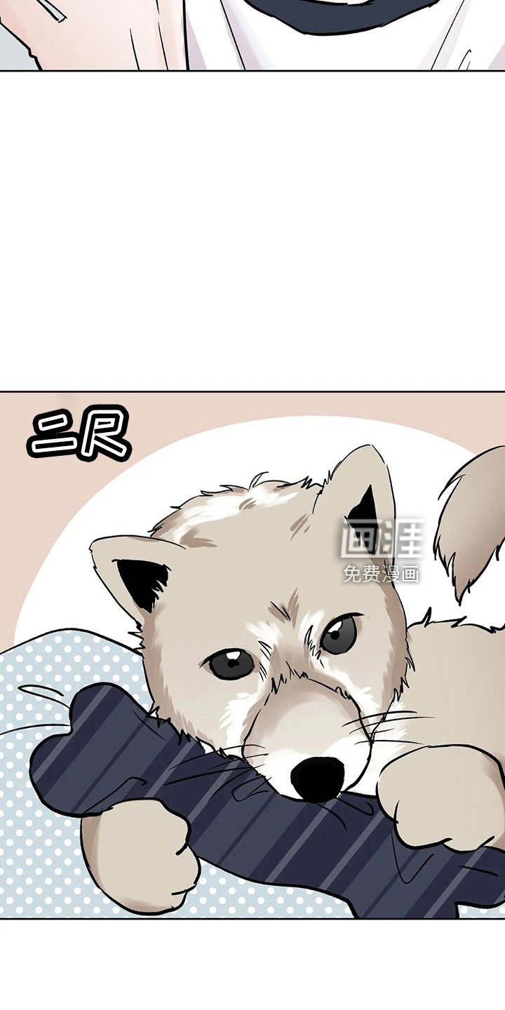 第37章：二尺