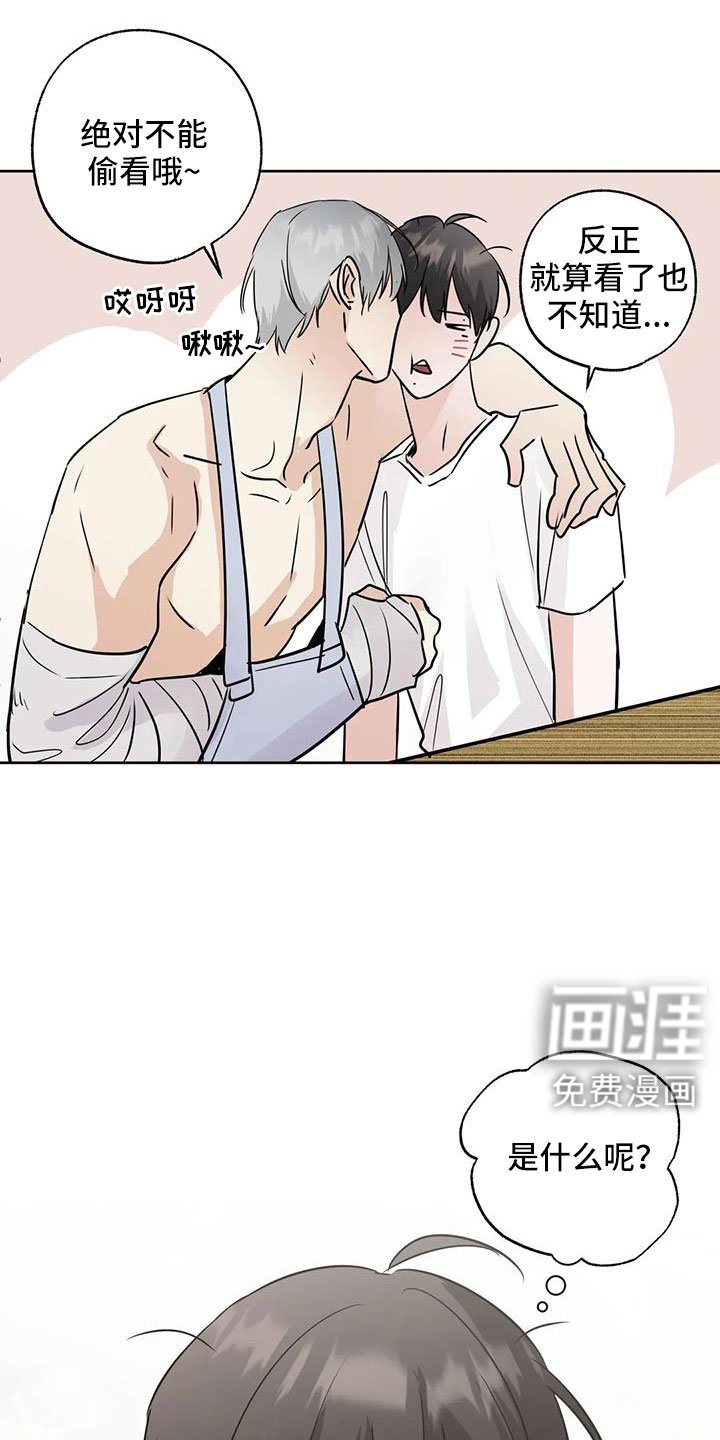 第65章：【第二季】秘密项目