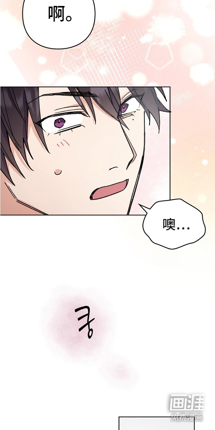 第13章：维护