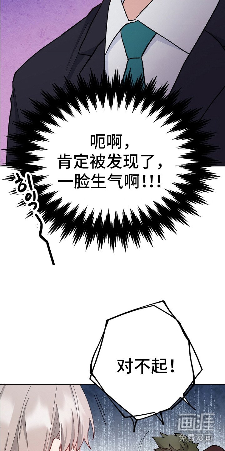 第19章：道歉