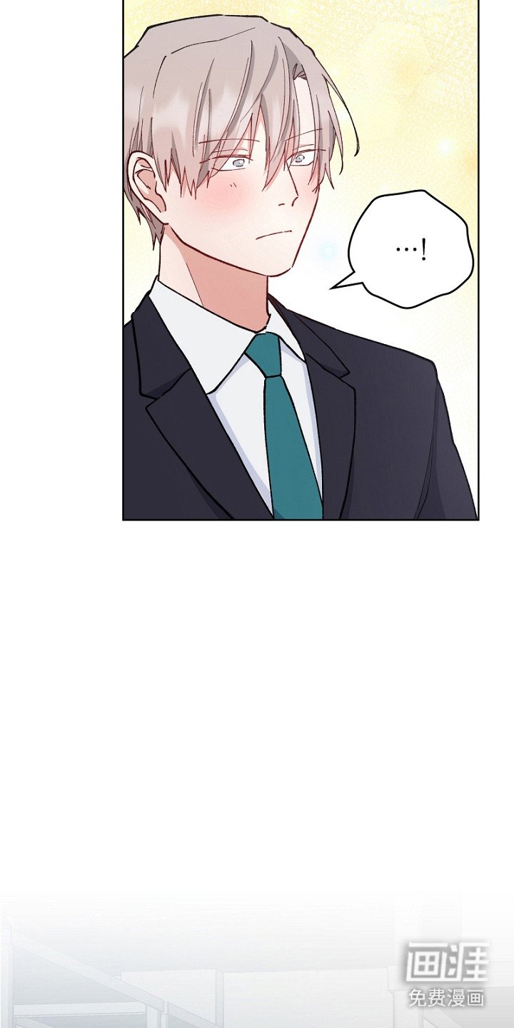 第19章：道歉