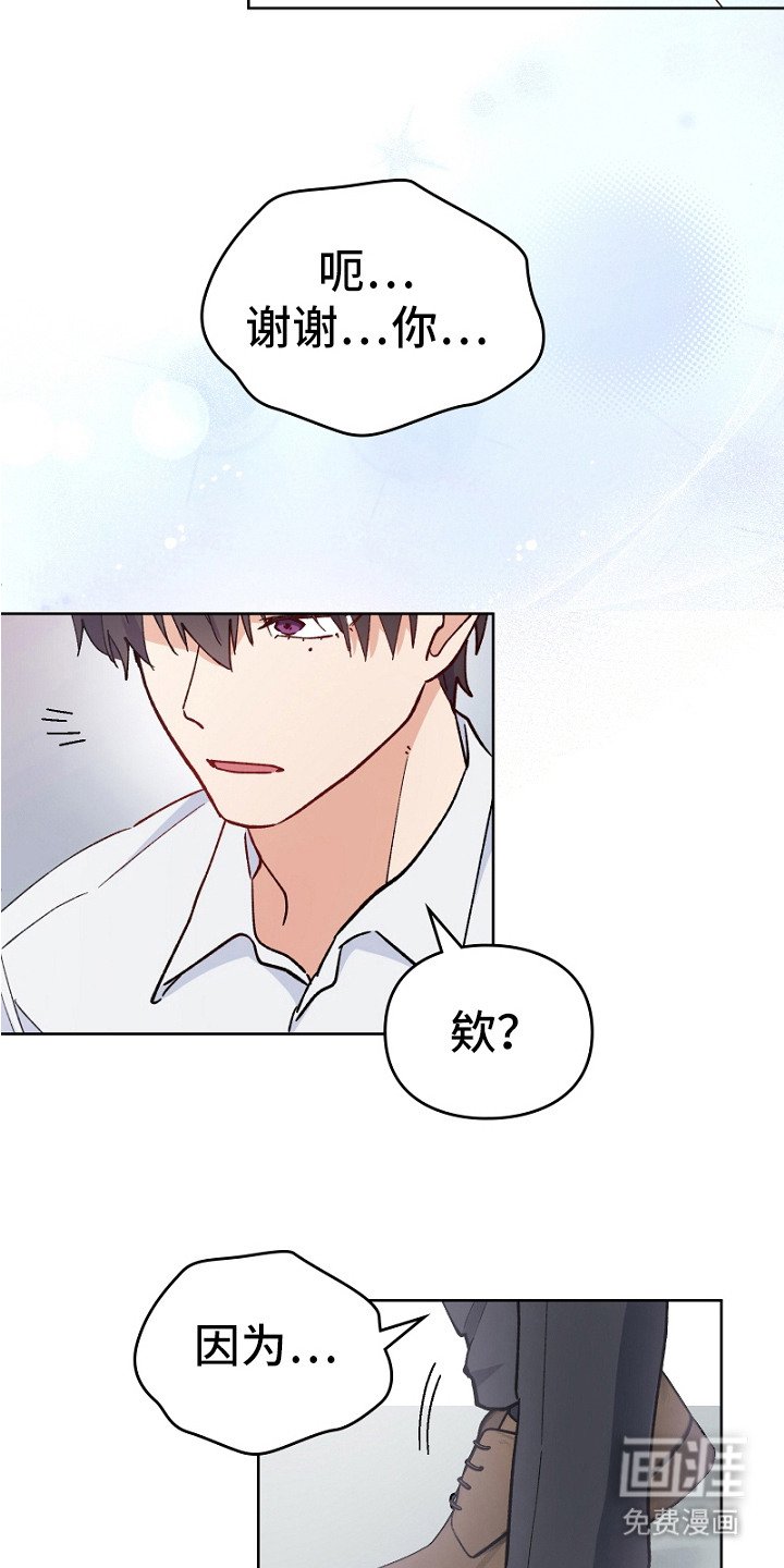 第19章：道歉
