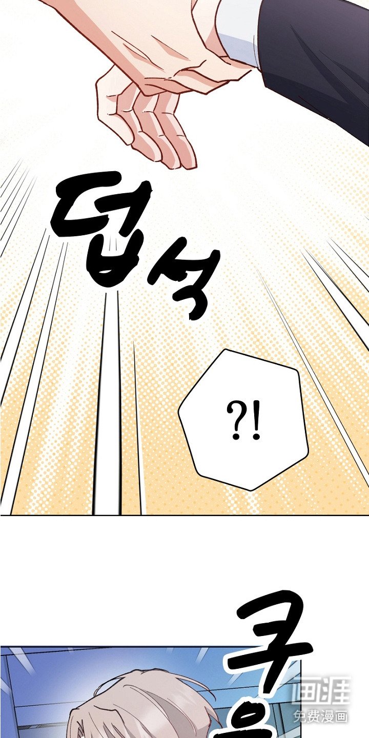 第20章：带回家