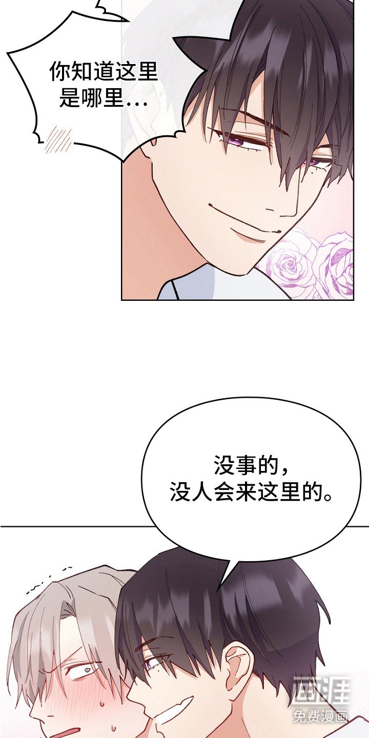 第20章：带回家