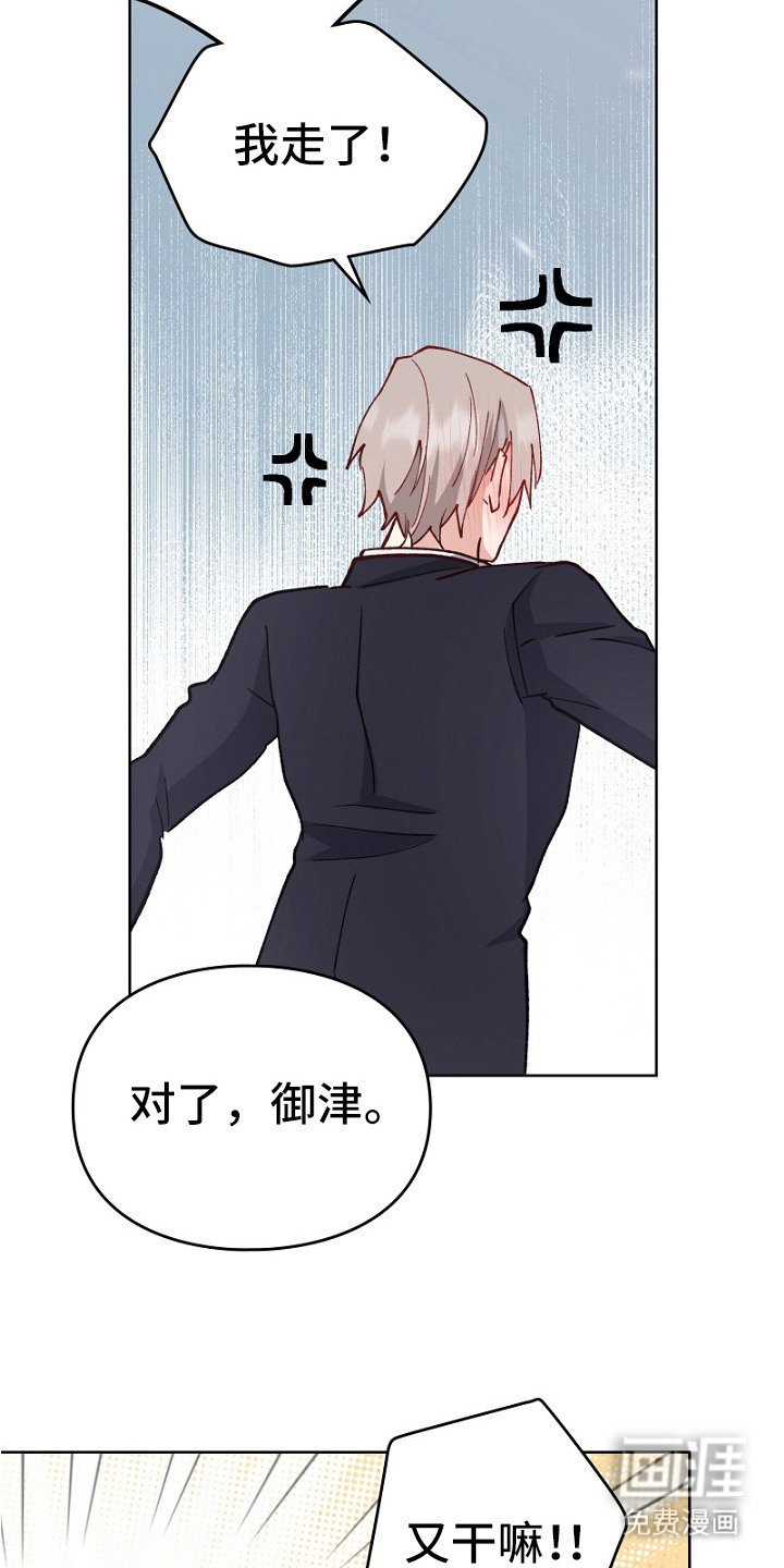 第20章：带回家
