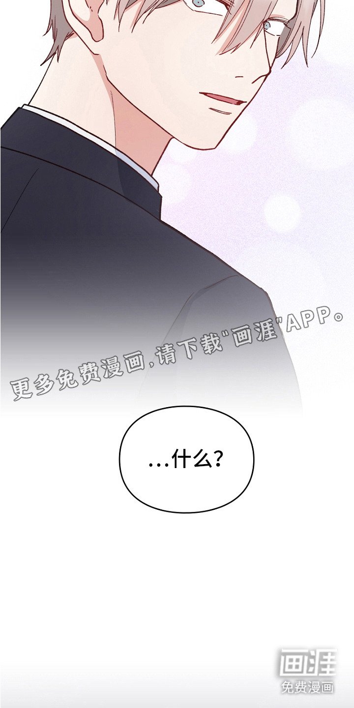 第20章：带回家
