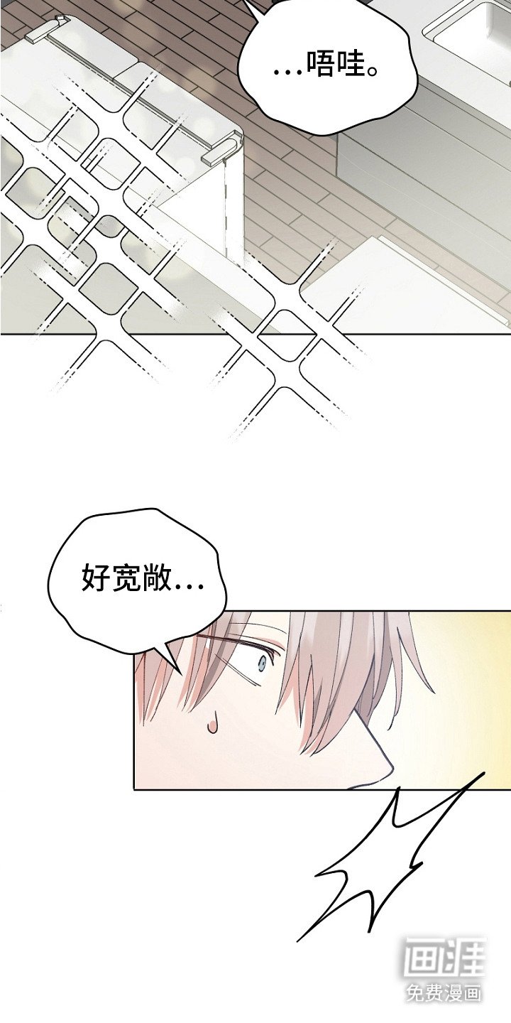 第20章：带回家