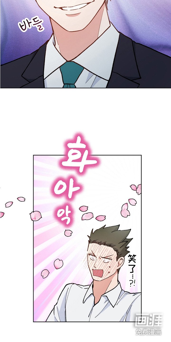 第23章：魅力
