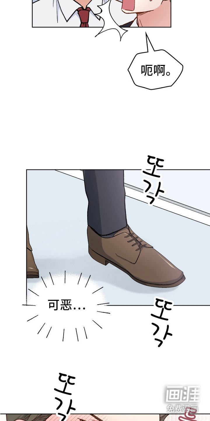 第23章：魅力