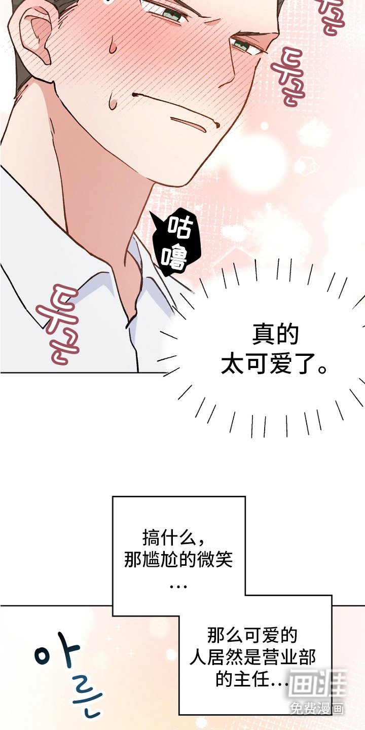 第23章：魅力