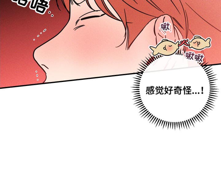 第15章：偷偷记下密码