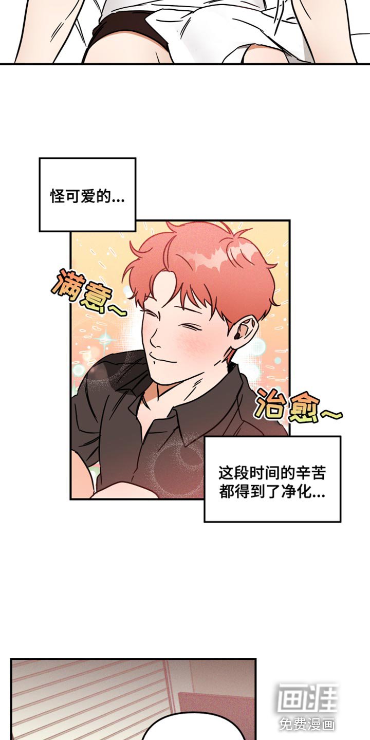 第20章：净化