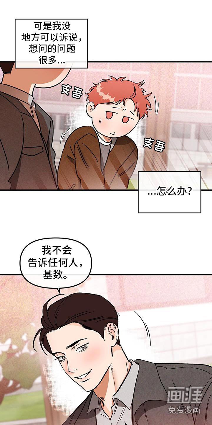 第53章：蜜蜂