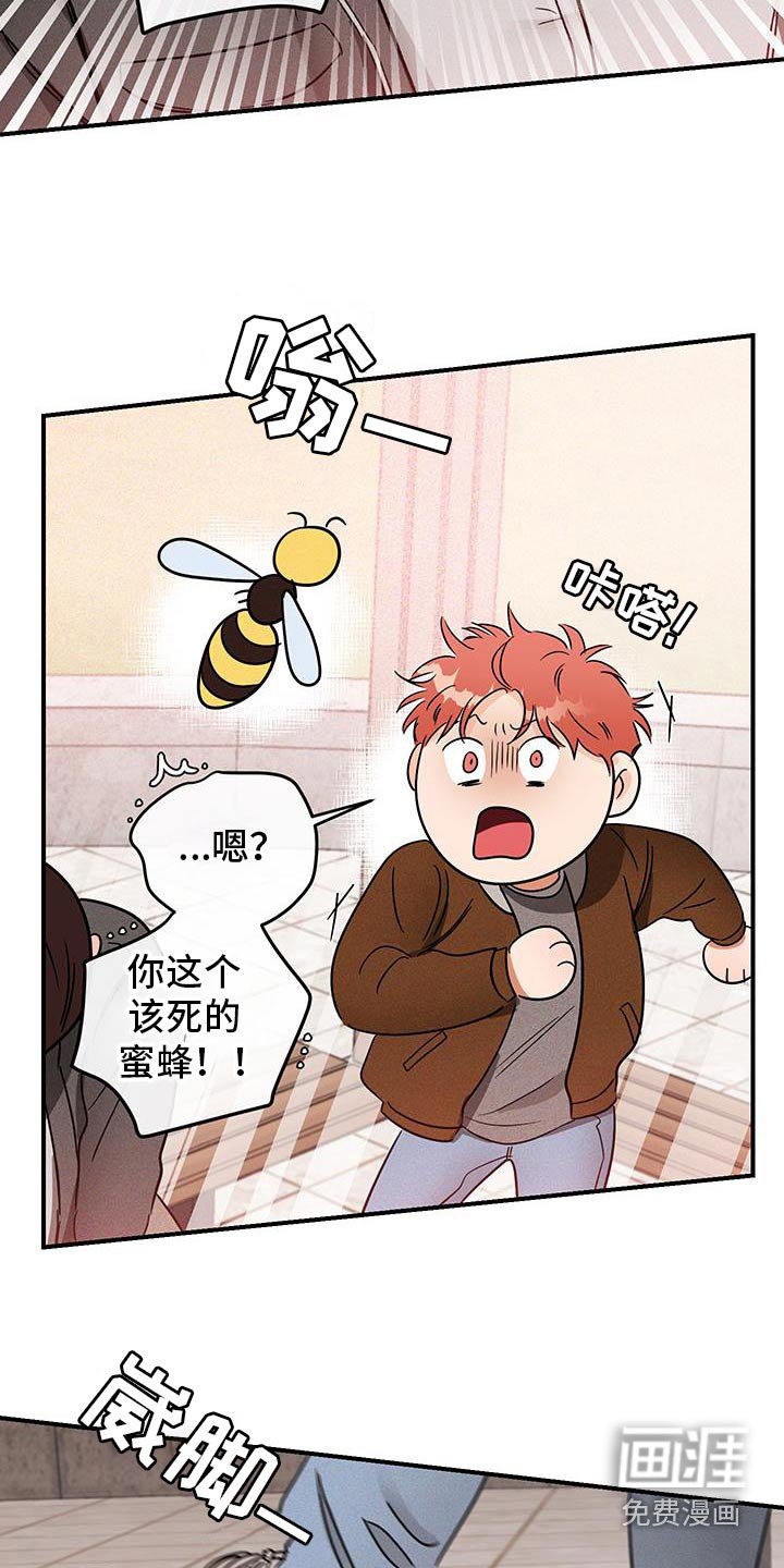 第53章：蜜蜂