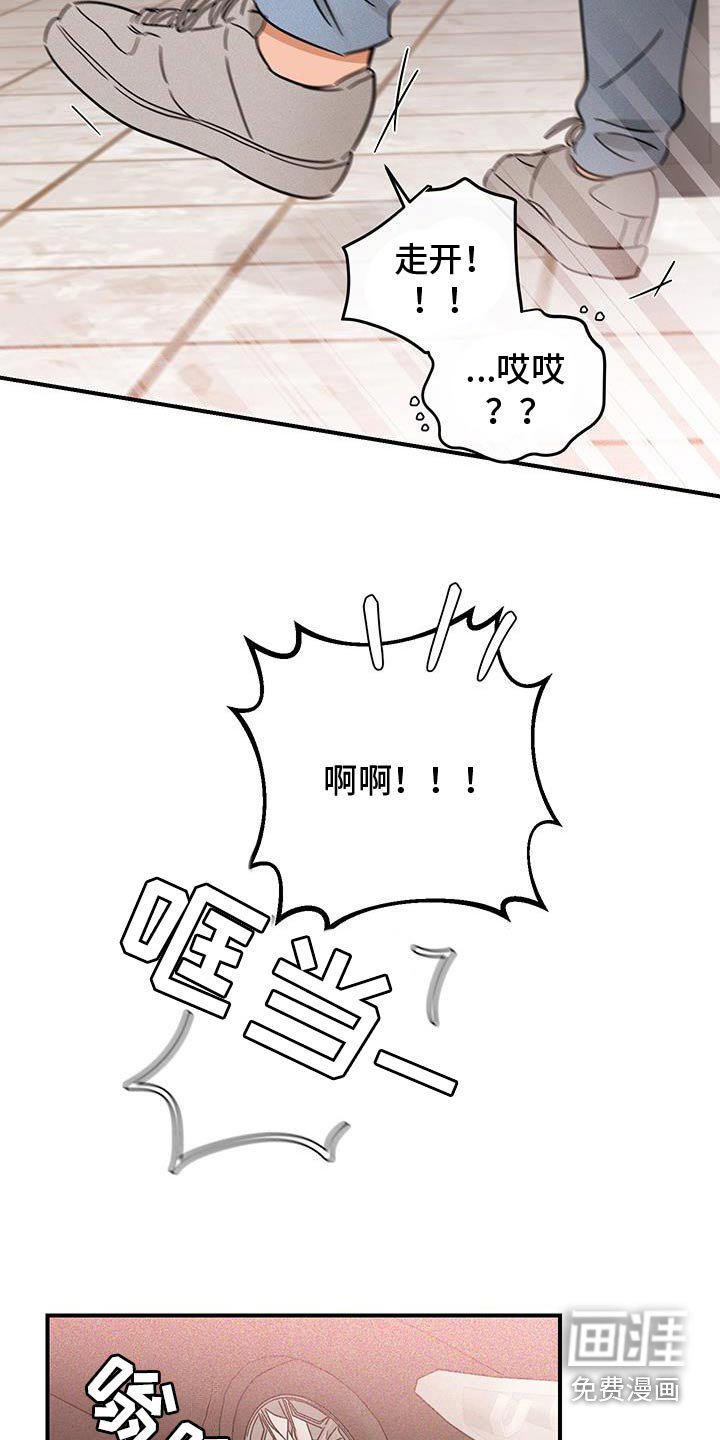 第53章：蜜蜂
