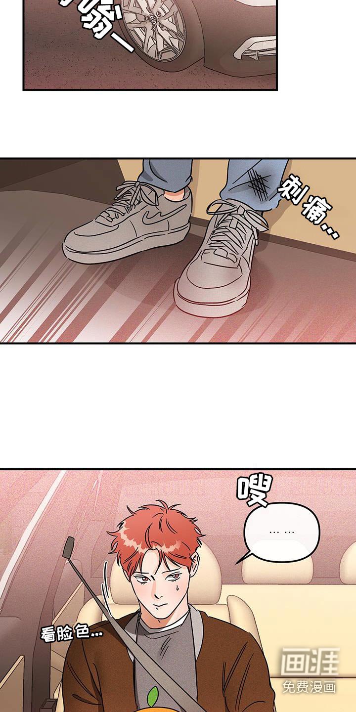 第53章：蜜蜂