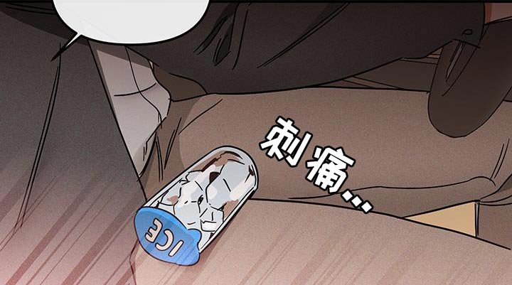第53章：蜜蜂