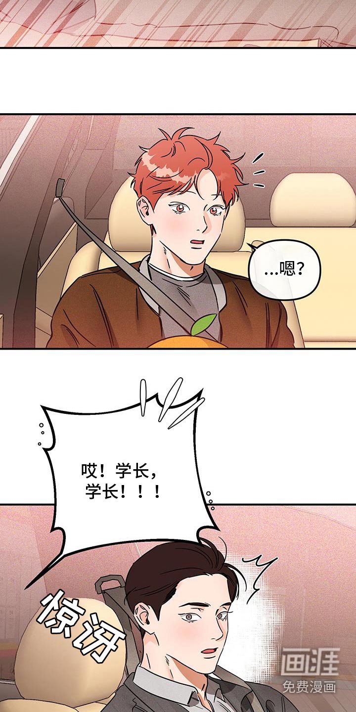 第53章：蜜蜂