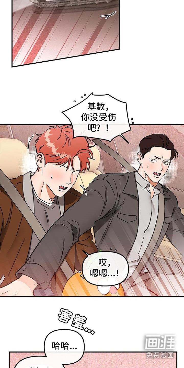 第53章：蜜蜂
