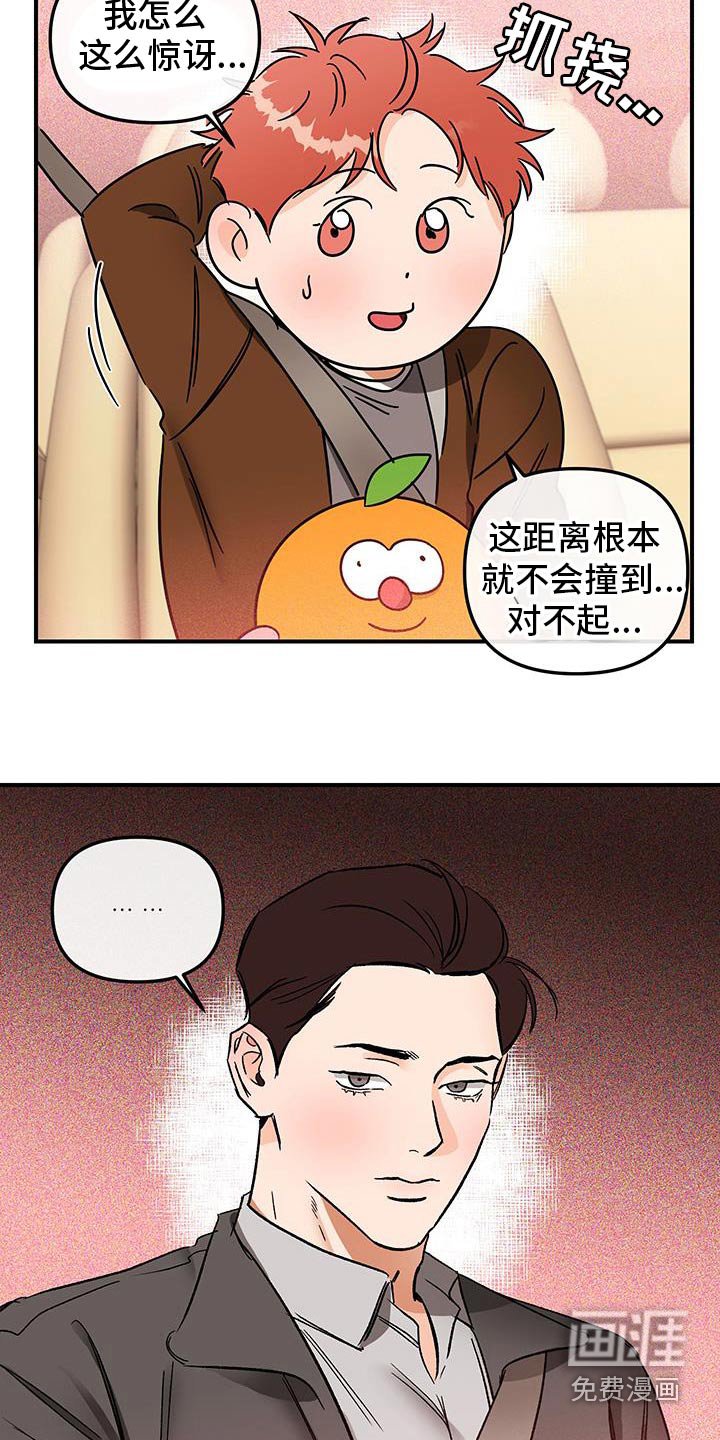 第53章：蜜蜂