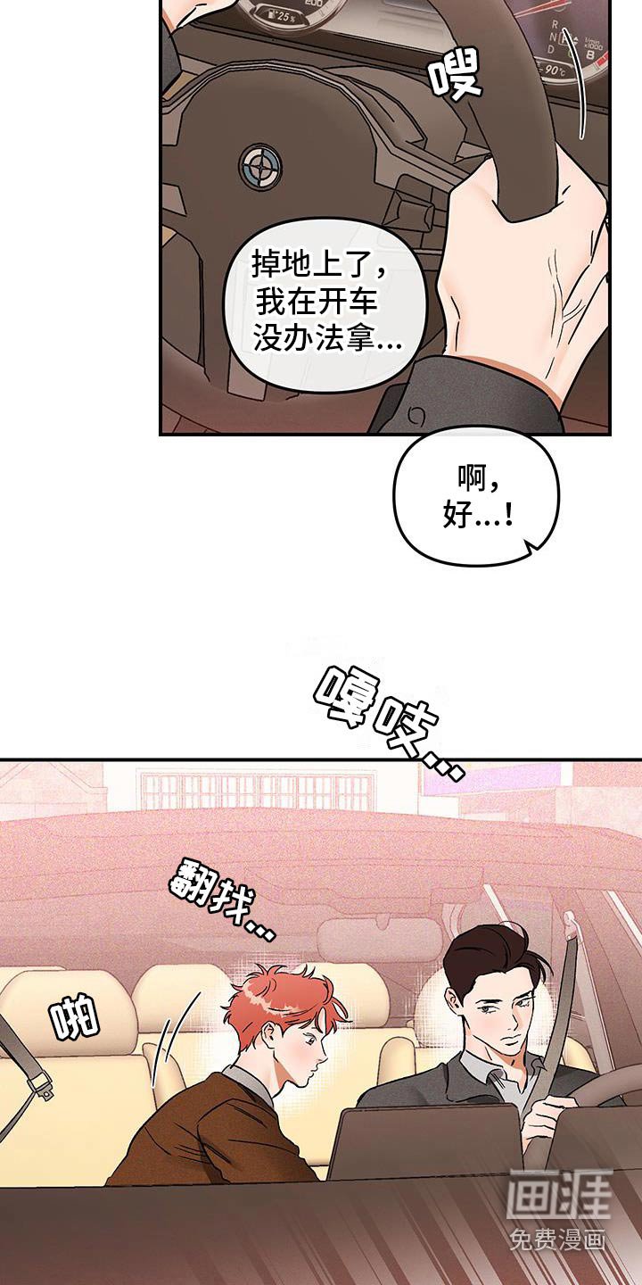 第53章：蜜蜂