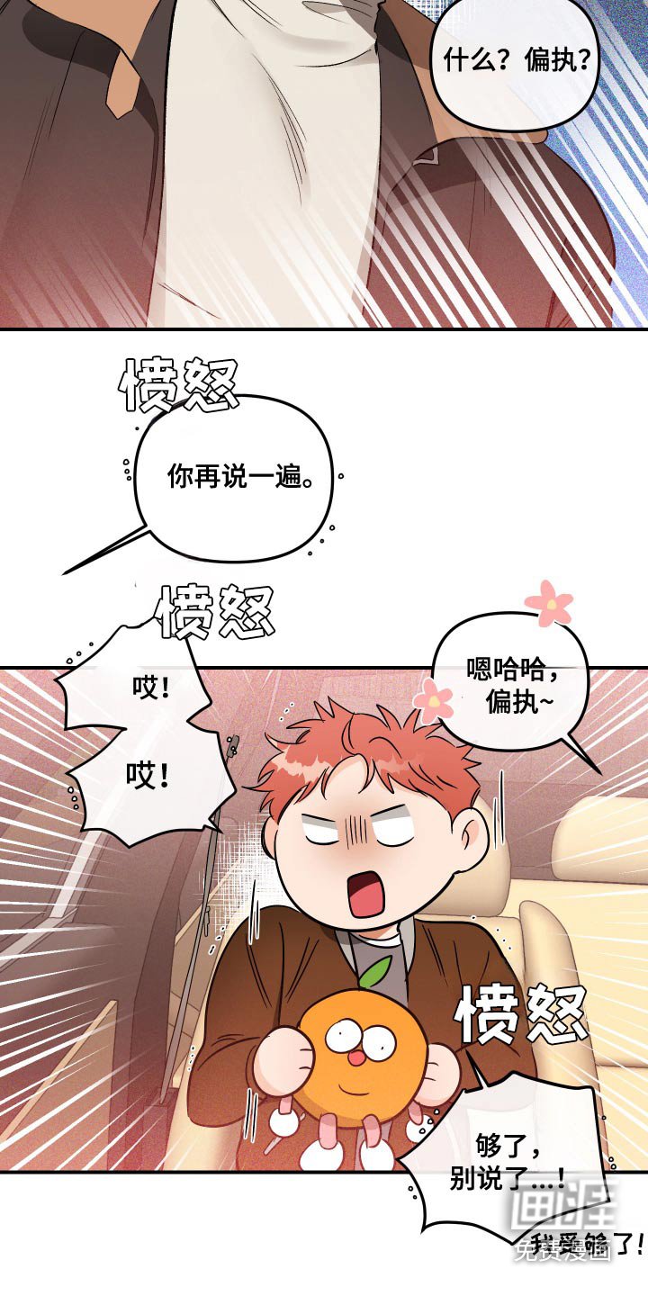 第55章：偿还