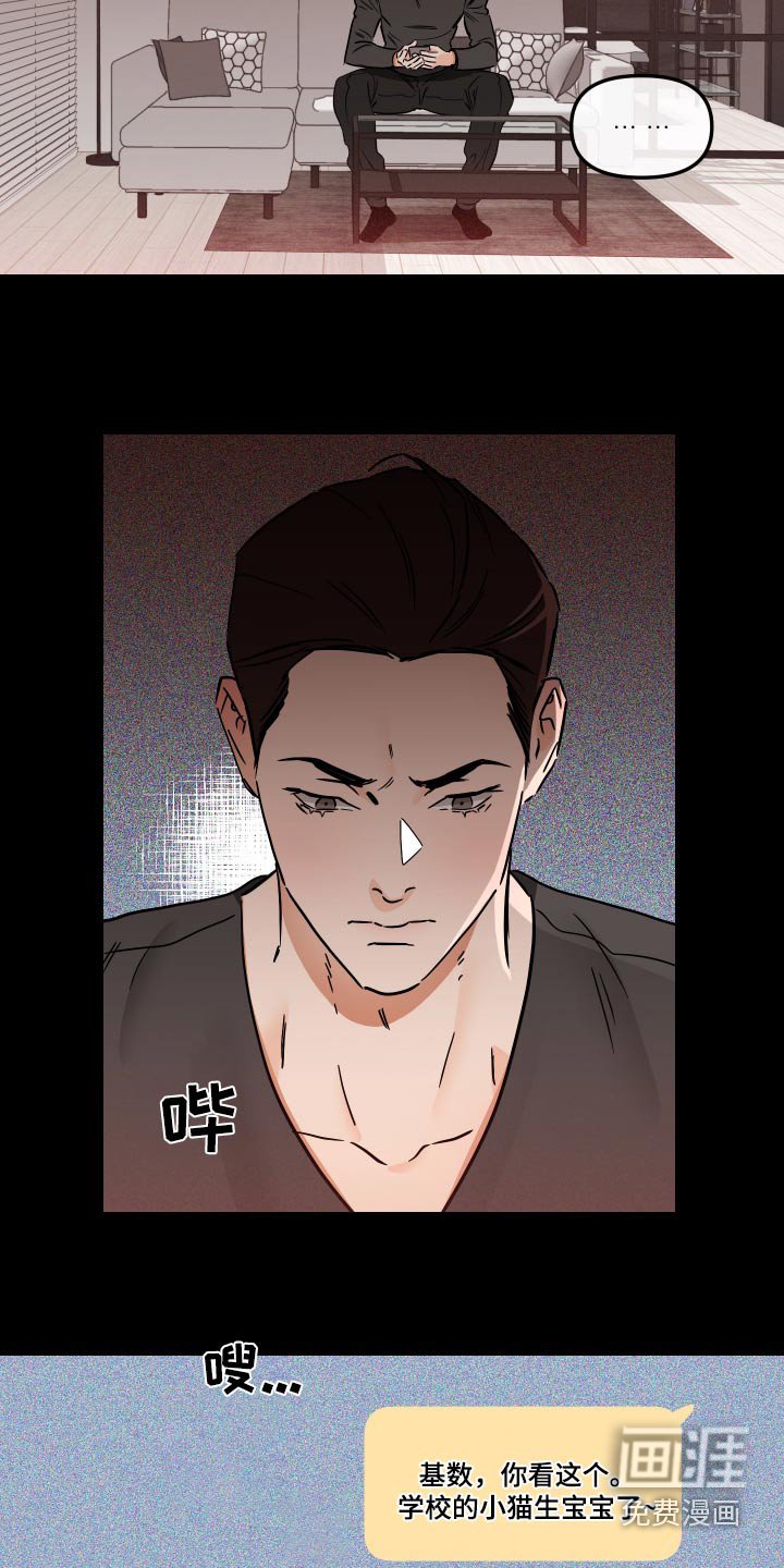 第56章：摘桔子