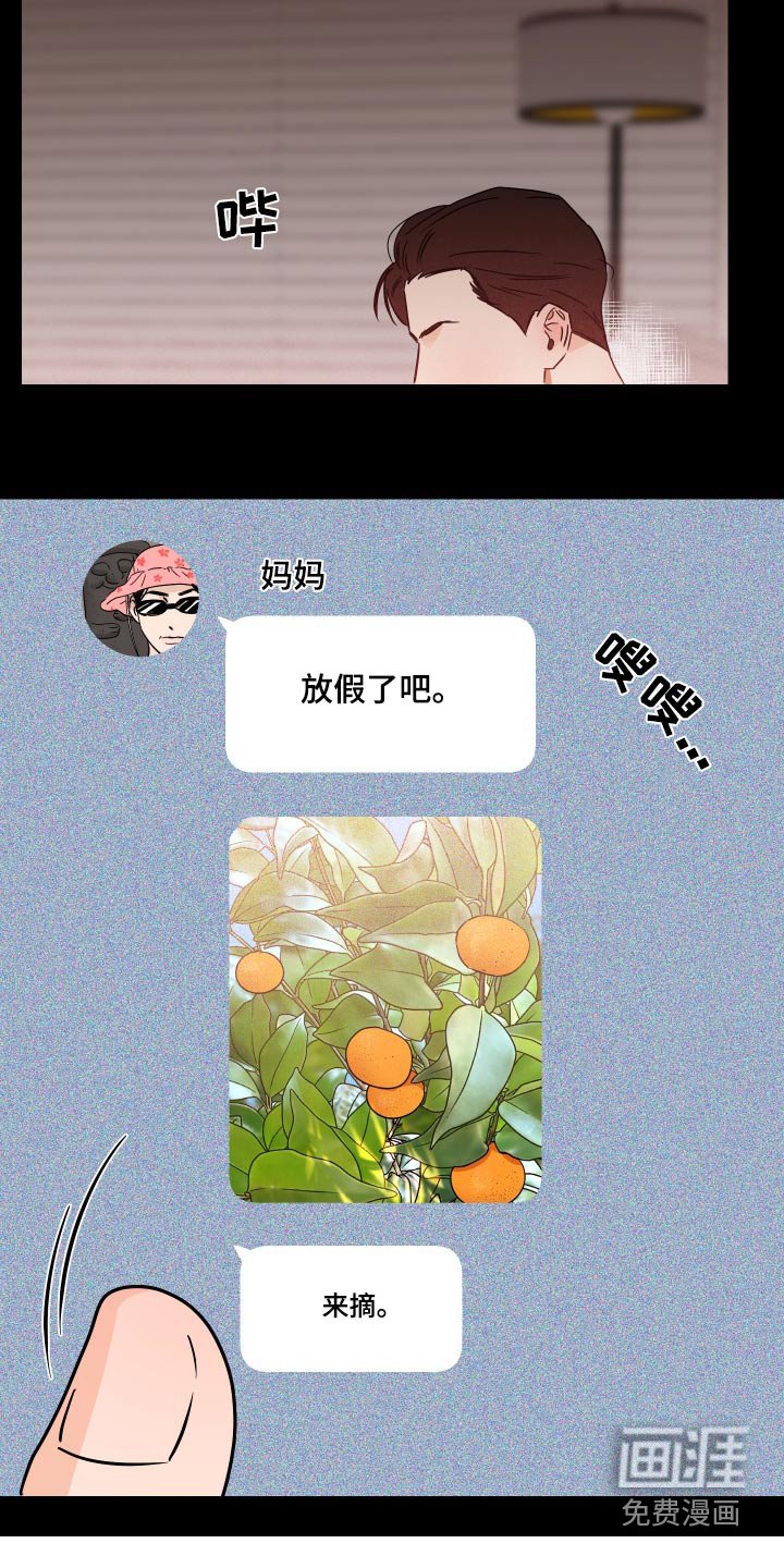 第56章：摘桔子