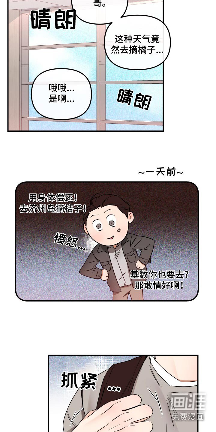 第56章：摘桔子