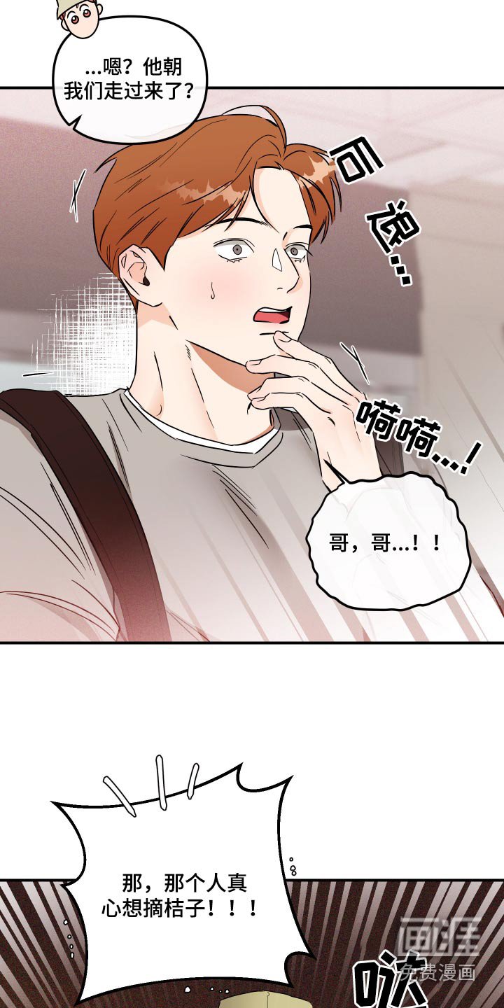 第56章：摘桔子