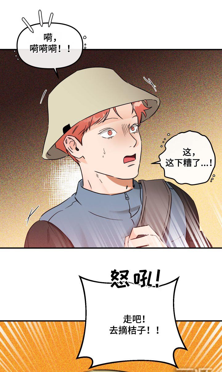 第56章：摘桔子