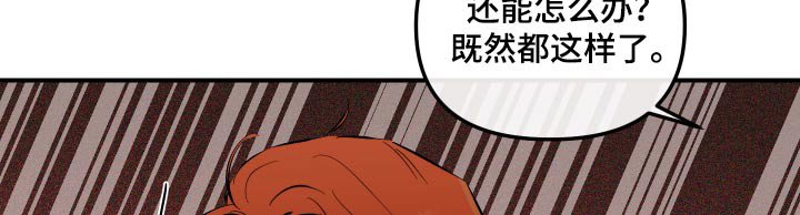 第63章：终于确定