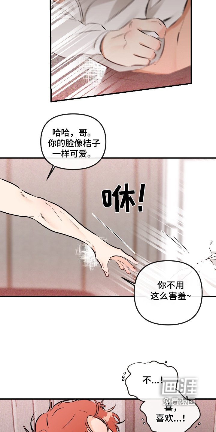 第65章：照常进行