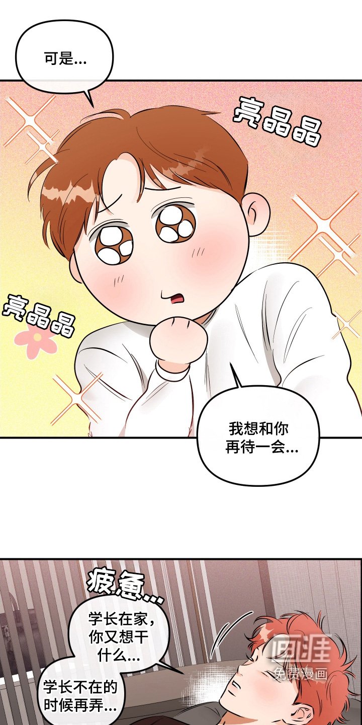 第68章：怎么办