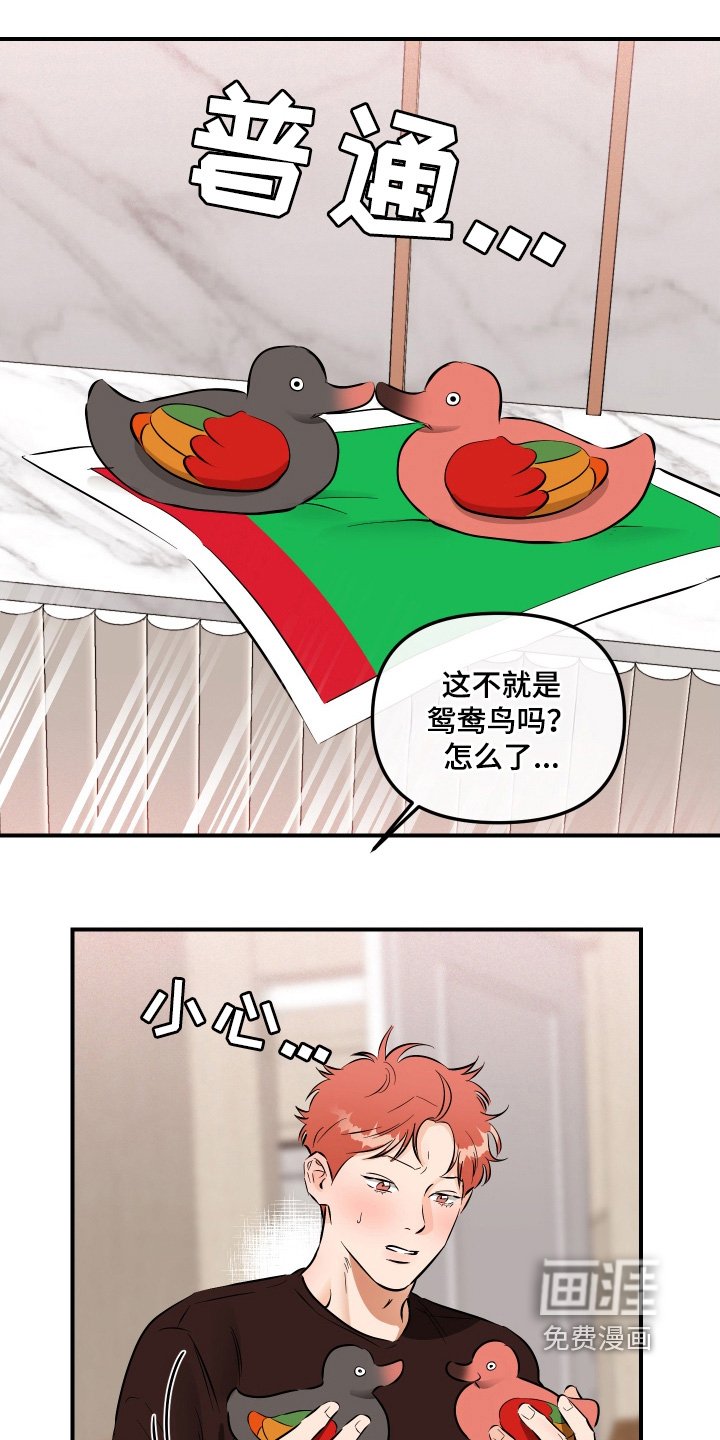 第68章：怎么办