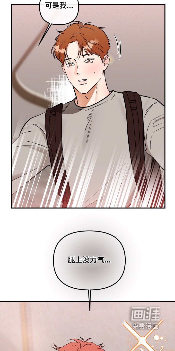 第74章：走吧回家