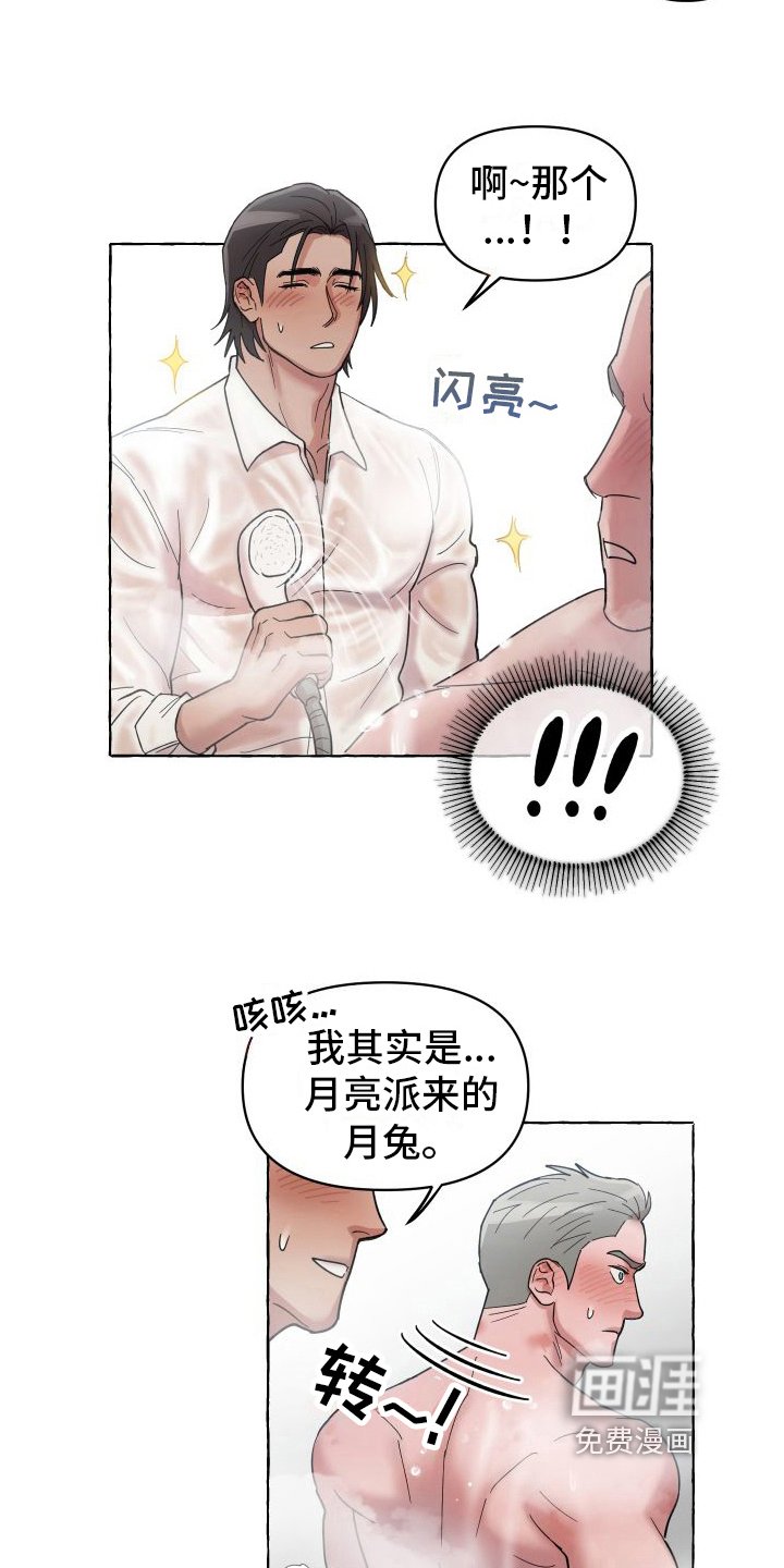 第4章：三叶草