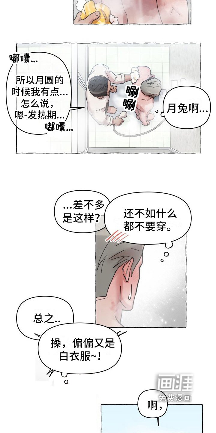 第4章：三叶草