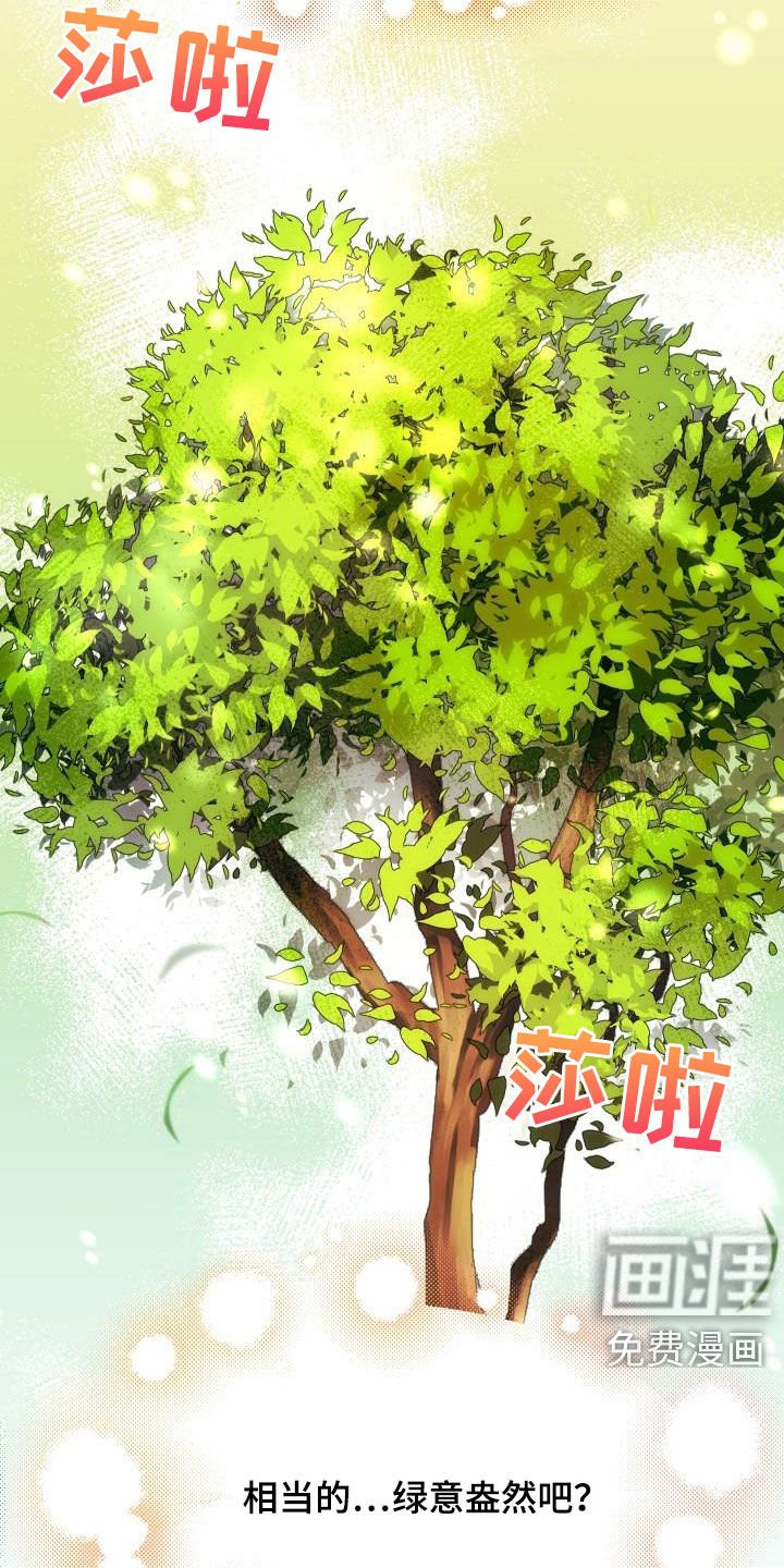 第25章：最终攻击